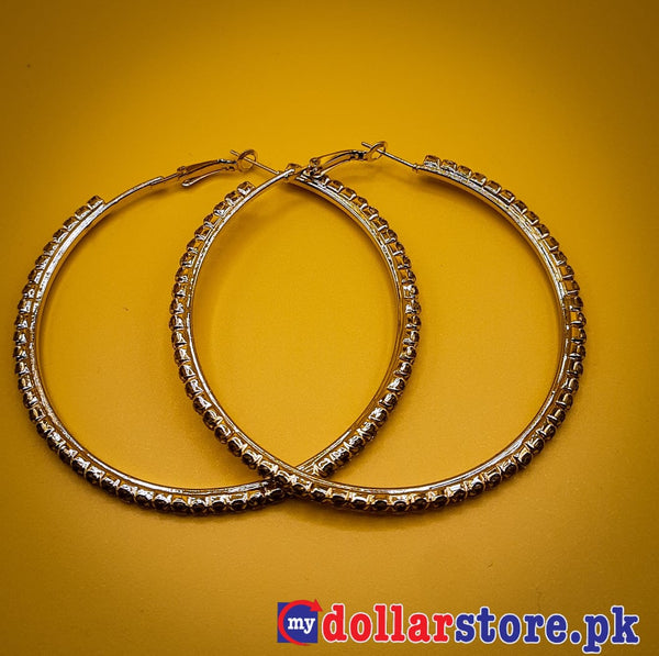 Women's 1 Pair Fashion Crystal Earrings Rhinestone Hoop Circle Dangle Jewelry