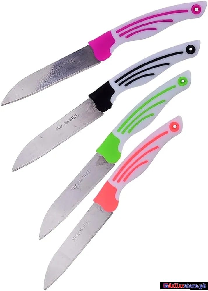 stainless steel fruit knife, 4 pieces